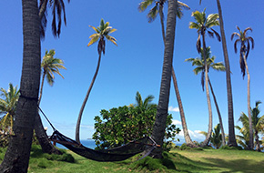 Relax medzi palmami na Fiji (Fidži)