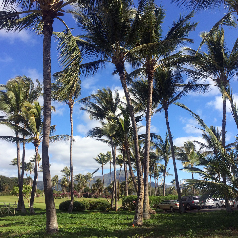 Dovolenka Havaj - ostrov Kauai