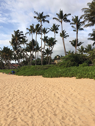 Najkrajšie pieskové pláže Havajských ostrovov - dovolenka bez cestovky