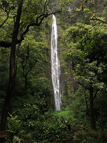 Discover Hawaii, Maui waterfalls