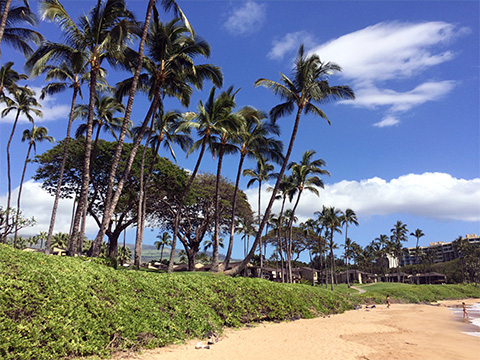 Explore the beaches in Hawaii