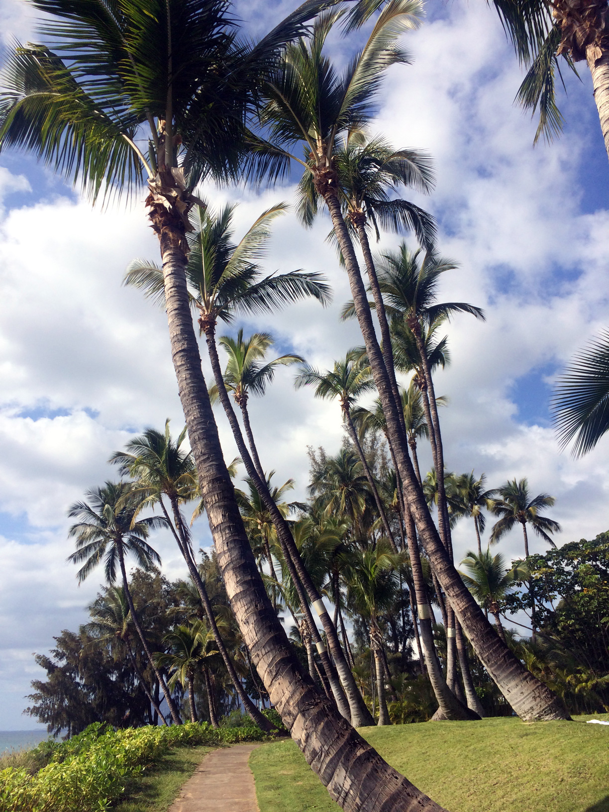 Vacation in Hawaiian Islands